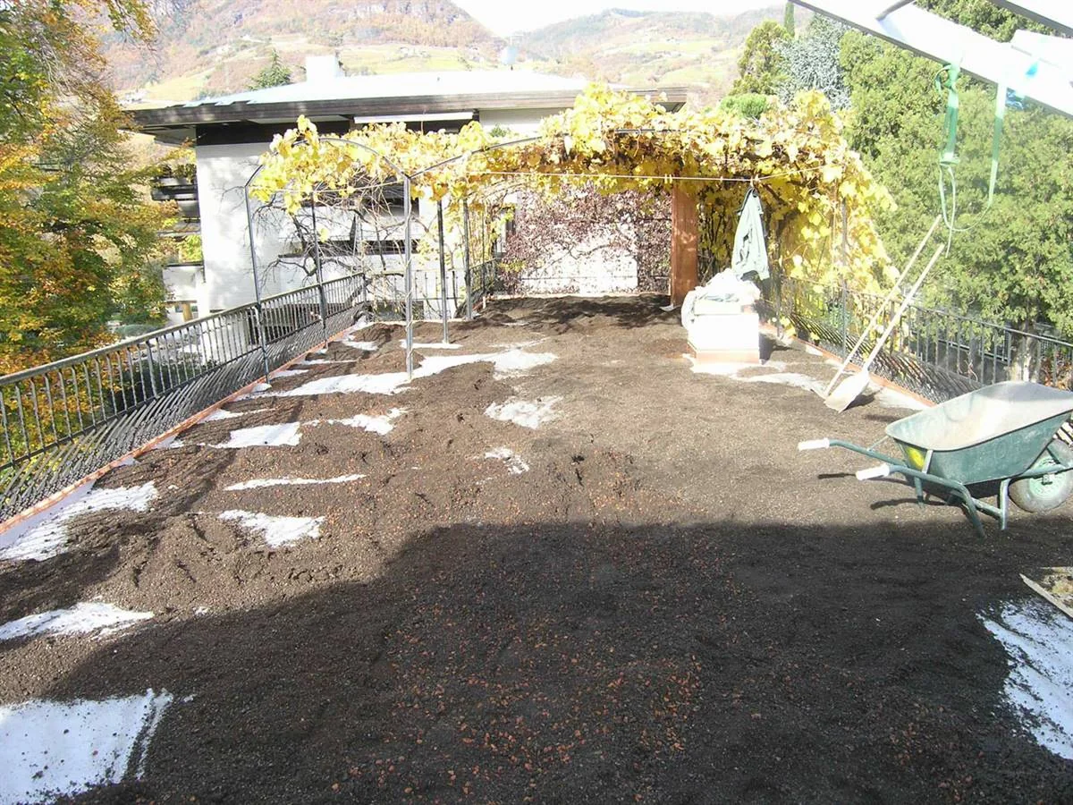 Solution post-intervention: Roof_Gründach.jpg