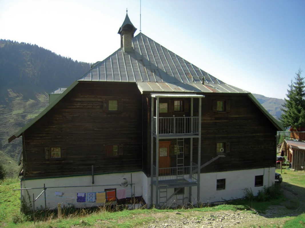 Building pre-intervention: pre_intervention_roof_03.png