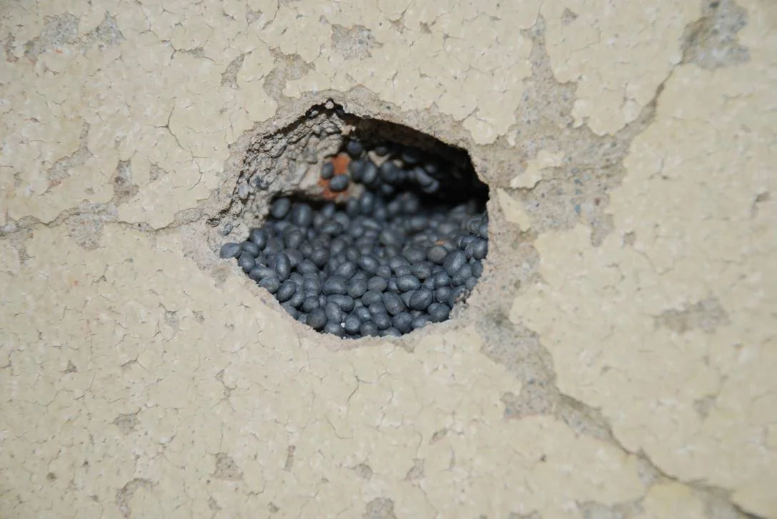 Solution post-intervention: intervento muro.jpg